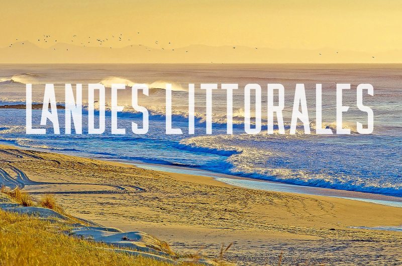 librairie_au_camion_landes-littorales