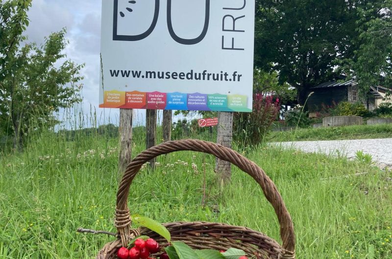 muséedufruit©muséedufruit
