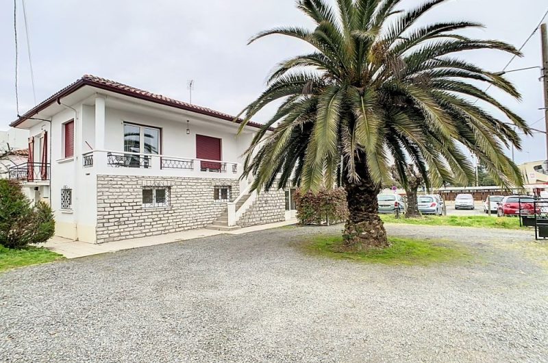 noeba3-1707406767_1707407192_07229_67f2bb5