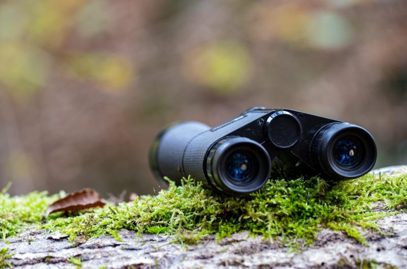 pat_photographies-binoculars-5724502_1920