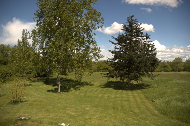 pelouse devant le gîte