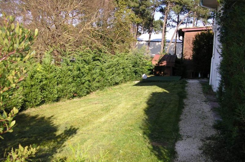 pelouse maison (1) (3) (Copier)