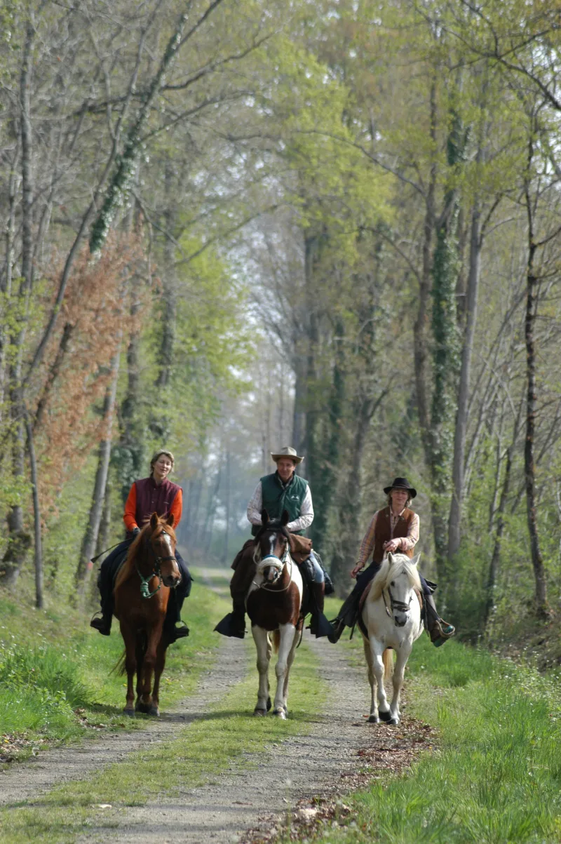 Boucle de Montfort-en-Chalosse