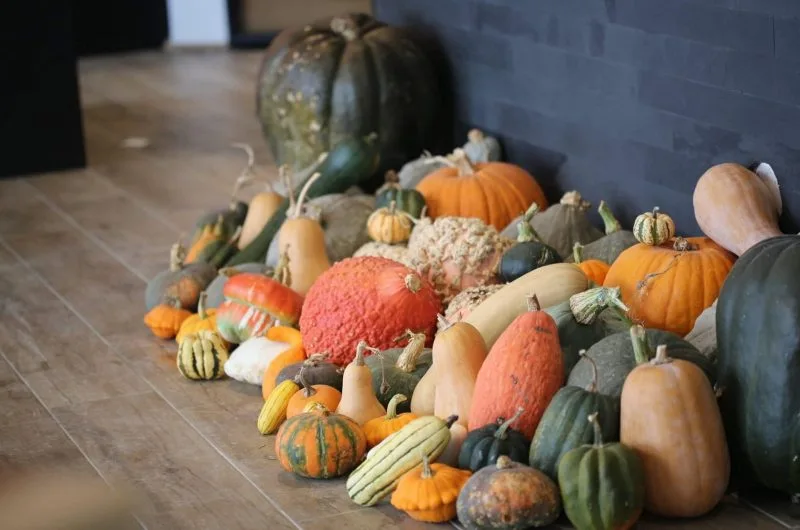 récolte © Musée du Fruit