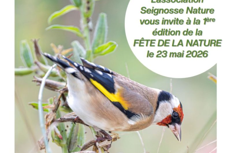 redim agenda – 1