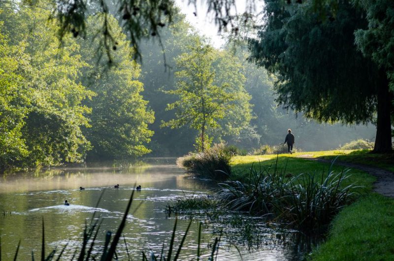 ruisseau_de_bibic_soustons_10.2024©Landes Atlantique Sud – V2