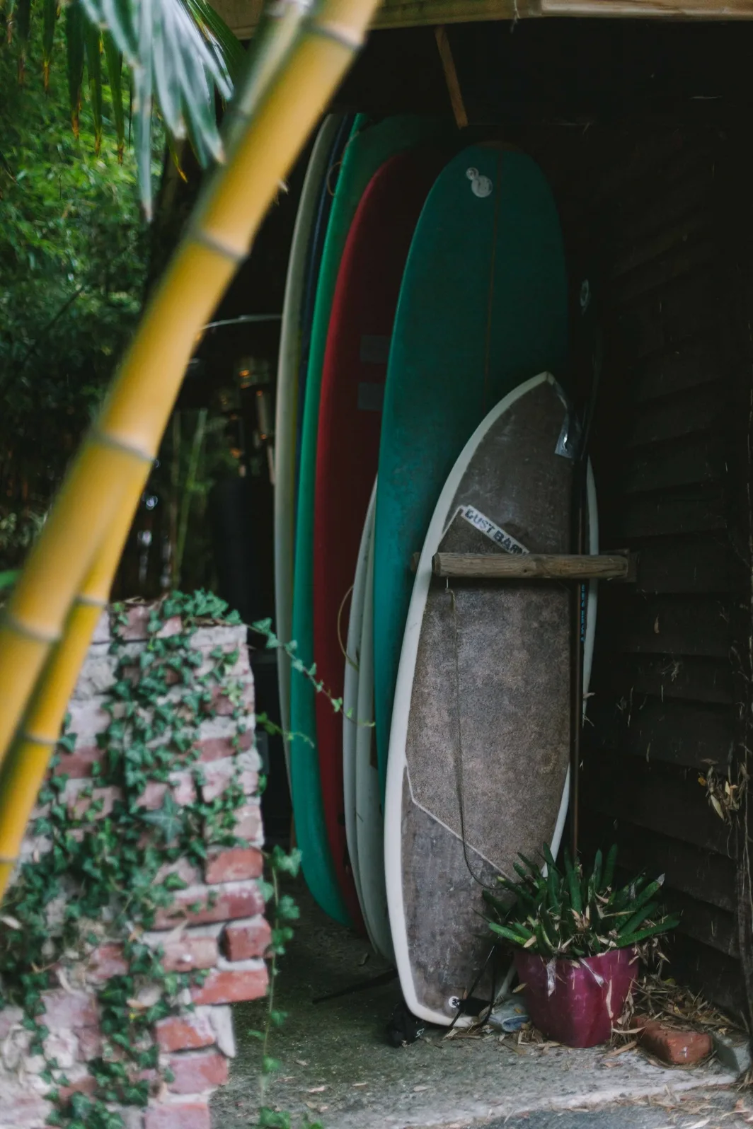 seminaire nature atypique landes (4)