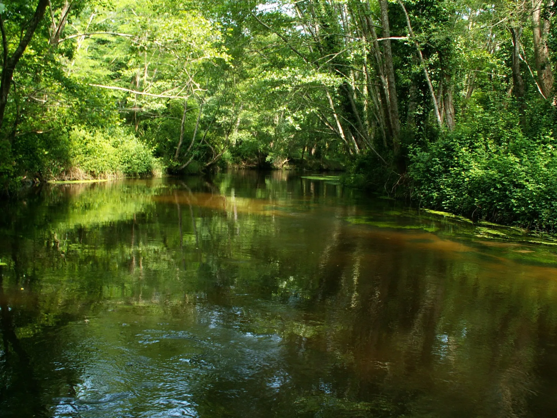 A Mézos, sentier d’interprétation du Courlis