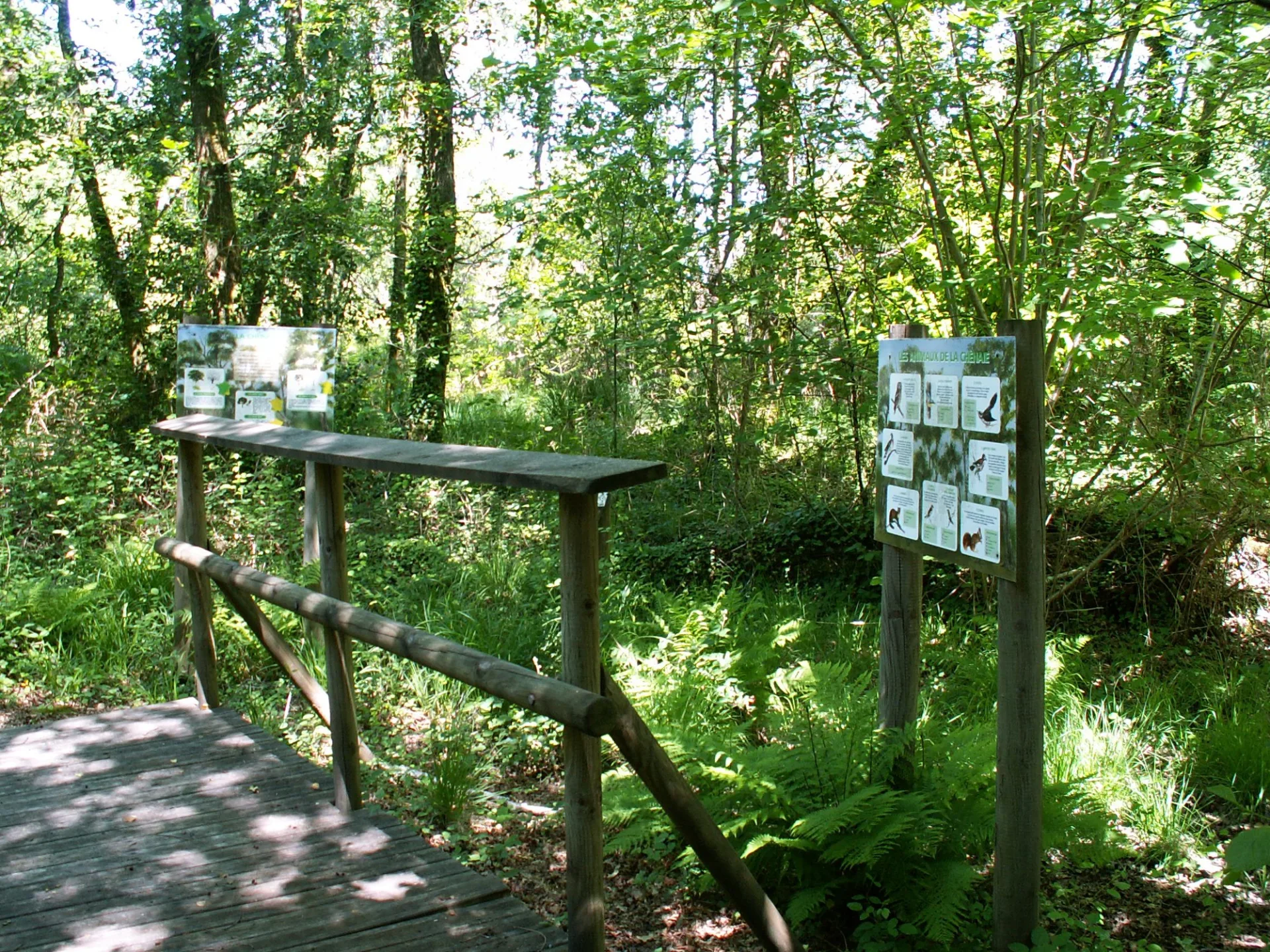 A Mézos, sentier du Courlis