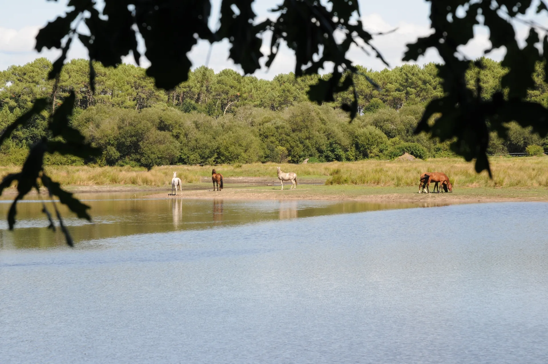 A Bias, sentier pédestre „L’Etang du Bourg Vieux“