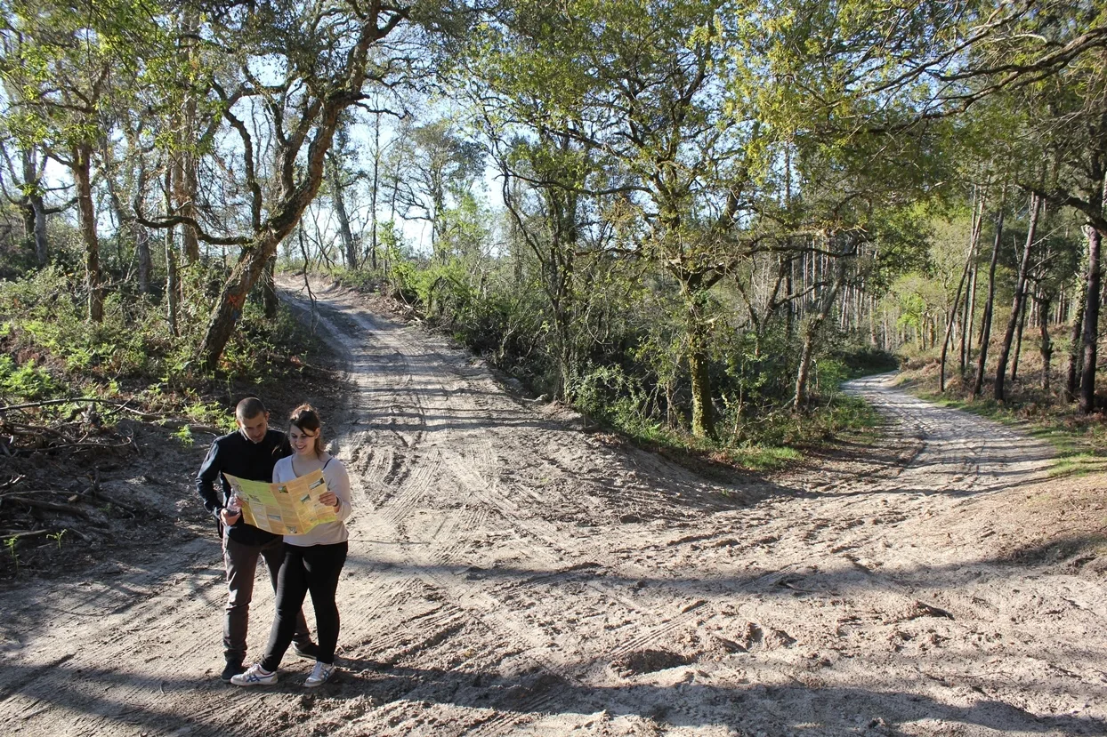 Le circuit orange de la palombière