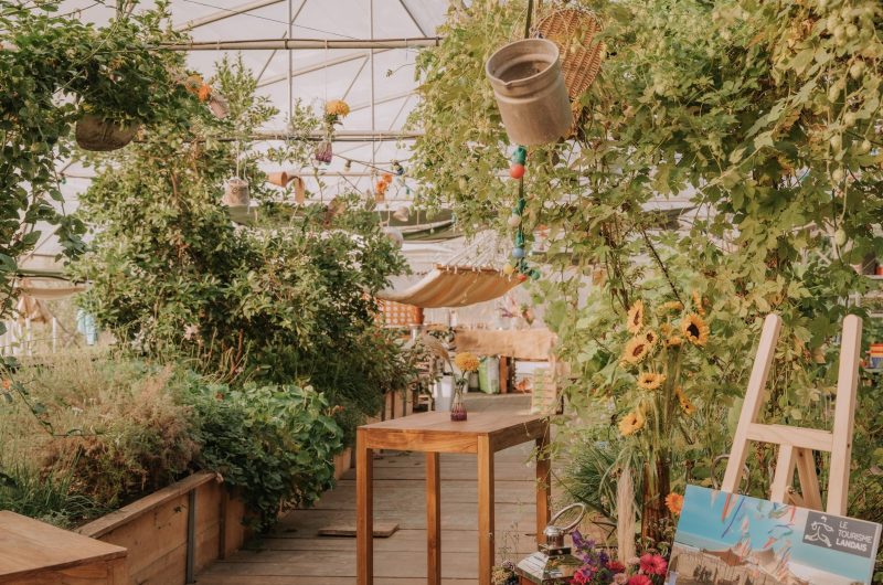 soiree la cles des champs tourisme landais (1)