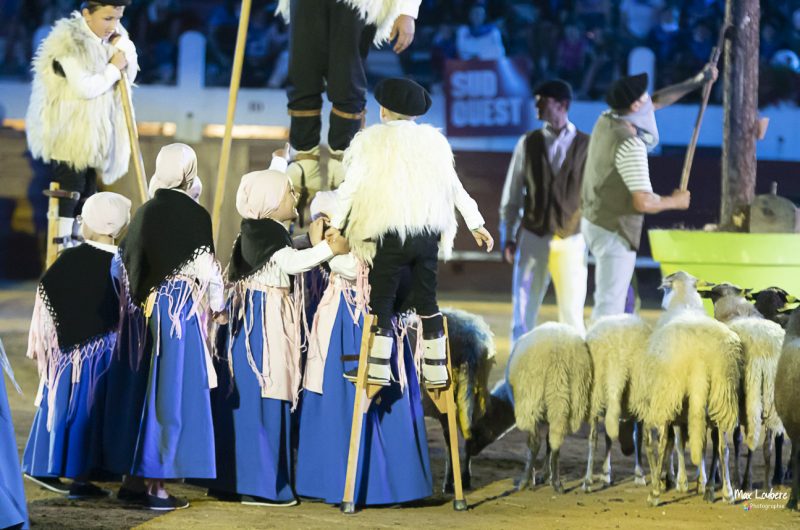 spectacle-landes-emotion-bergers