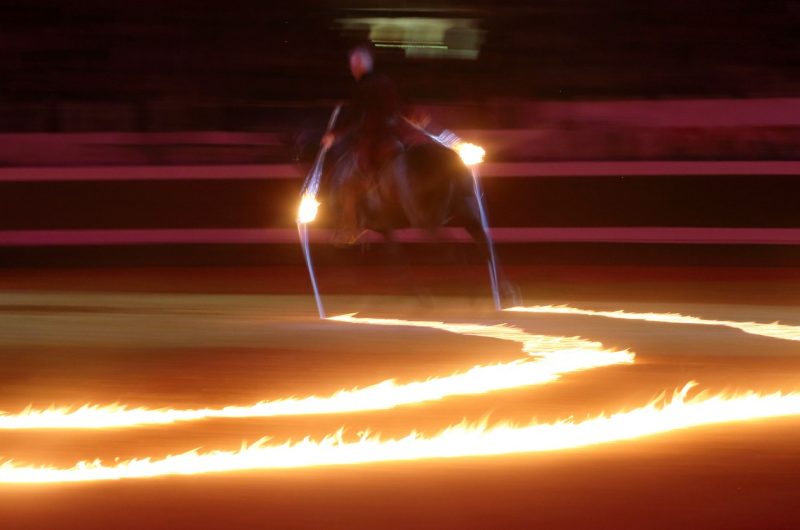 spectacle-landes-emotions