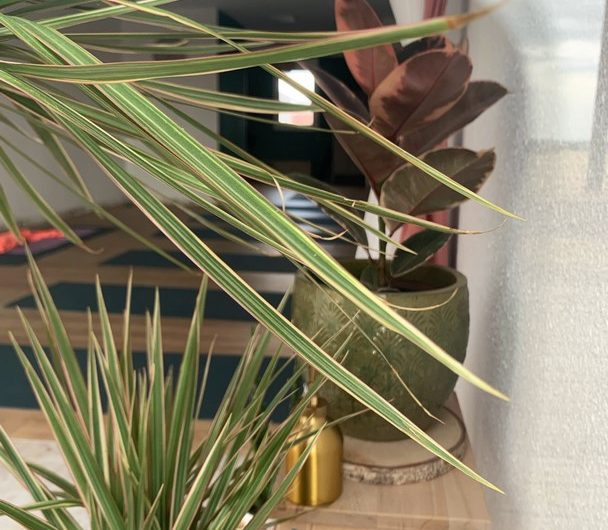 thumbnail_10E027F4-9474-4778-A067-D7F4827EFD72 (Copier)