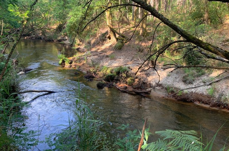 thumbnail-IMG-7922-4