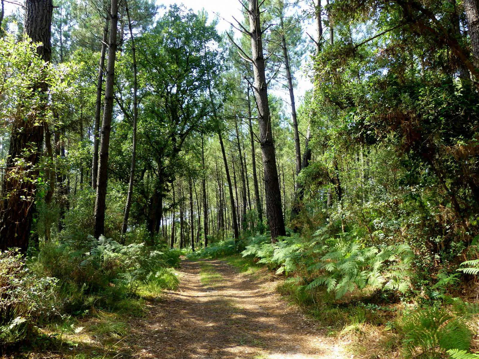 A Capbreton, parcours pédagogique du Tuc