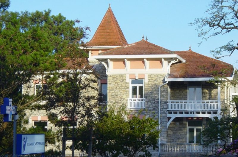 veterinaire-royant-pandard